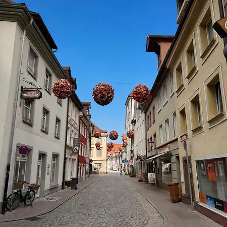 Ueber Den Daechern Der Altstadt - Zentrum - Wlan - Holzapfel Appartement Villingen-Schwenningen